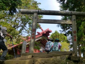 大山山頂の鳥居